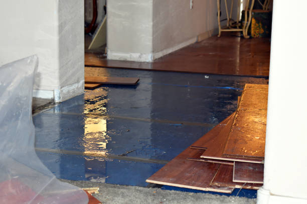 Professional Water Damage Restoration technician working in De Soto, IL